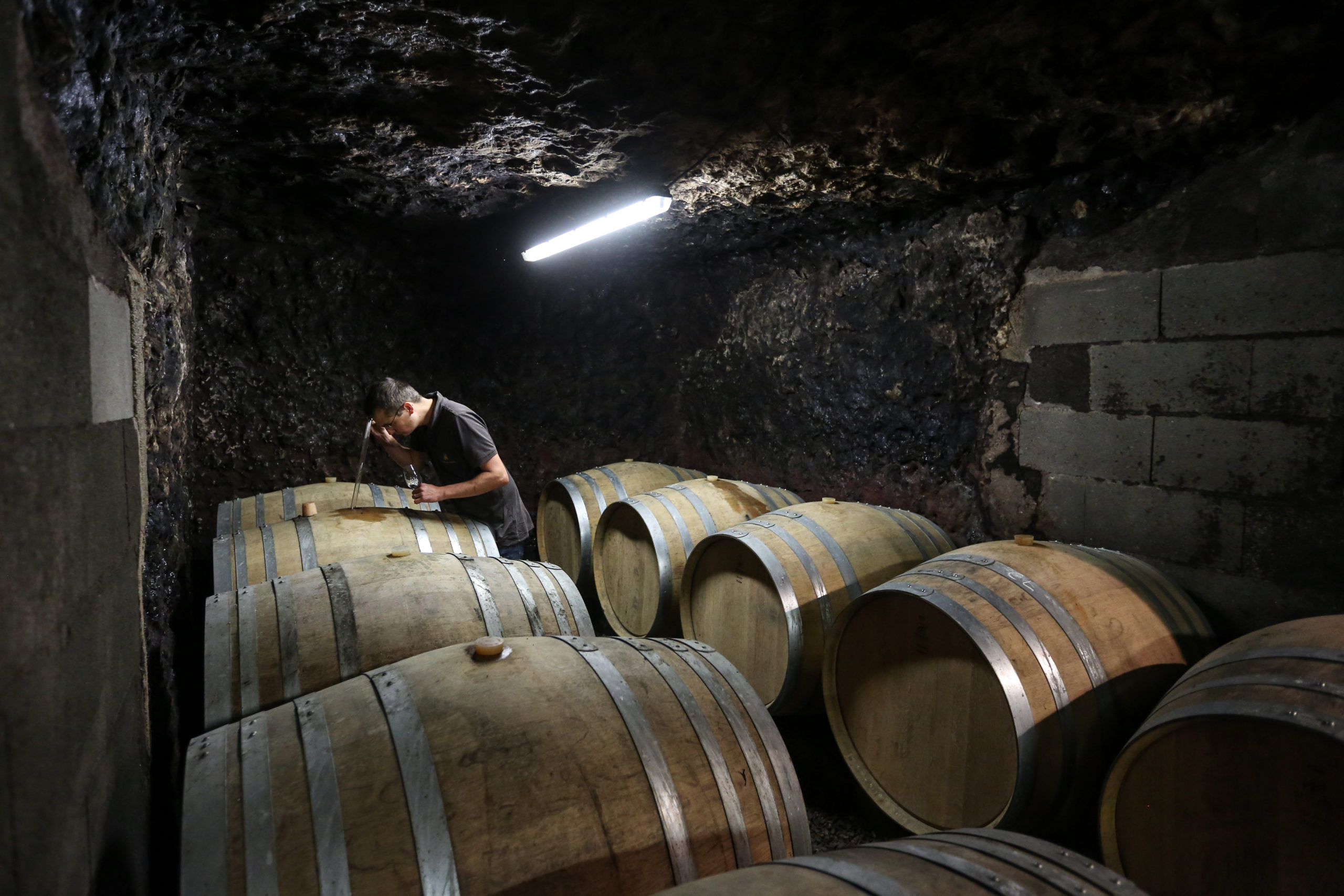 Les vinifications à la Maison Laudacius