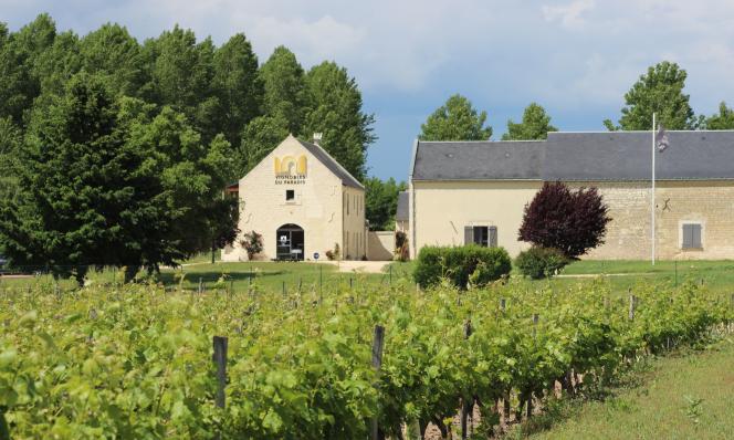 Les Vignobles du Paradis Chinon